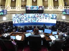 Presupuesto 2020: el jueves el Senado buscará convertir la ampliación en ley