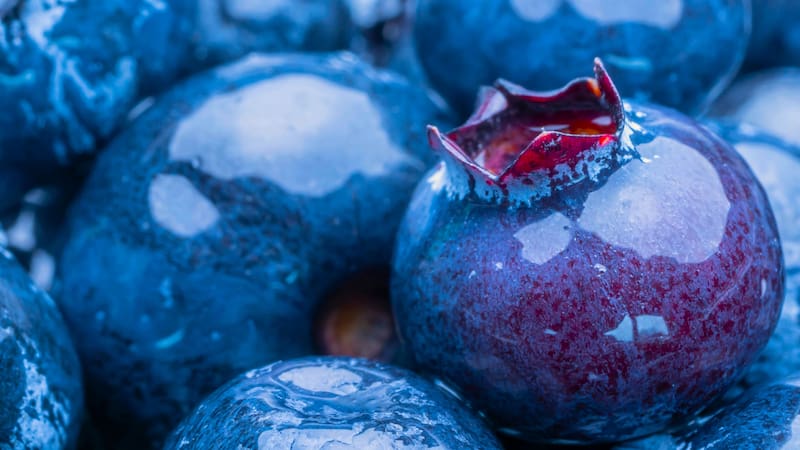 <div class="migrated-promo-image__description"><div class="migrated-promo-image__source">Fuente: Shutterstock</div></div>