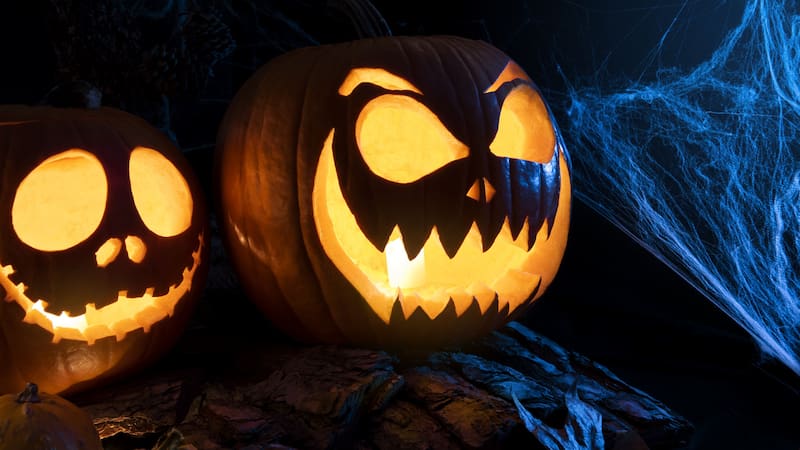 Tiendas D1 sorprende a sus clientes con un producto de decoración que salva Halloween.