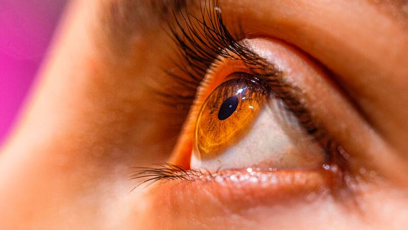 Científicos españoles descubren una sustancia química que frena el desarrollo del glaucoma. (Imagen: archivo)