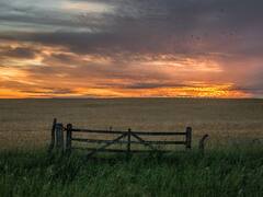 Inversores vuelven a buscar campos ganaderos en la Argentina