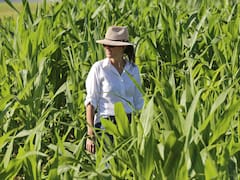 Científica salteña dejó el Conicet para crear su propia empresa agrotech: ya consiguió u$s 1,2 millones