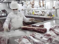 Carne: la caída en volumen de las exportaciones lima el efecto de la suba de los precios internacionales