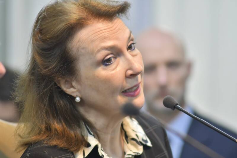 La diputada electa Diana Mondino.