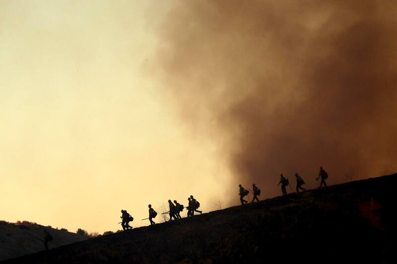 Las llamas arrasan con grandes áreas, dejando un rastro de destrucción y evacuaciones masivas.
