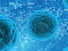 El Ministerio de Salud alertó por el aumento en la circulación de una bacteria peligrosa