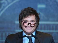 Milei viaja a Davos a buscar inversiones: los dólares que atrae Argentina y los riesgos