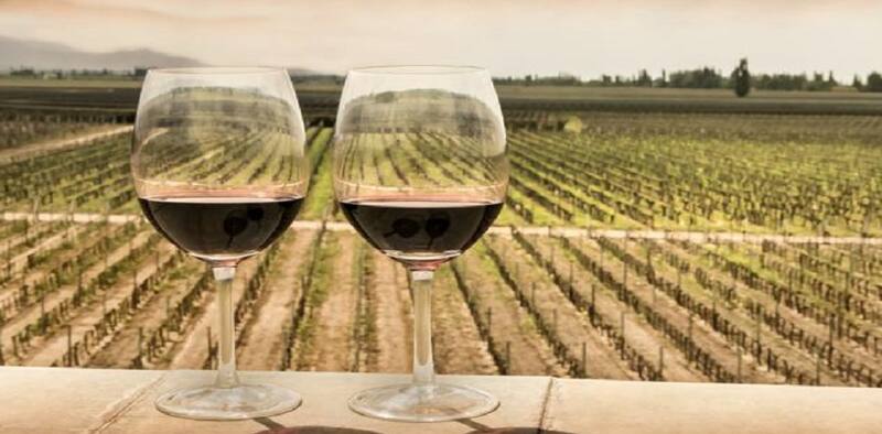 El malbec enfrentará más competencia