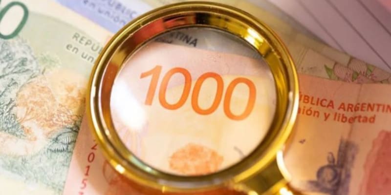 Desde agosto, el valor del Salario Mínimo se ubicará en $ 262.432,93.