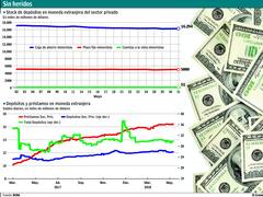 Pese a la corrida, los ahorristas dejaron sus dólares en los bancos