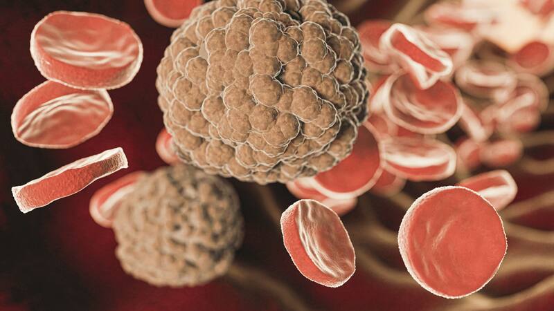 <div class="migrated-promo-image__description"><div class="migrated-promo-image__source">Fuente: FreePik</div></div>