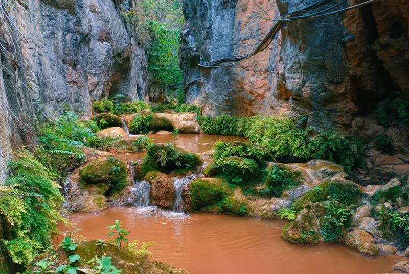 La naturaleza es protagonista estelar en el Cañón del Caracol. Foto: Instagram @charlyleonv.