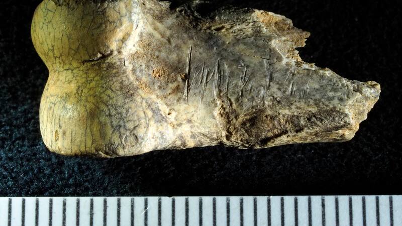 <div class="migrated-promo-image__description"><div class="migrated-promo-image__source">Fuente: EFE</div></div>