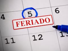 El Gobierno confirmó feriados también para este lunes y martes: no habrá clases en ningún nivel y el fin de semana se extiende a 5 días