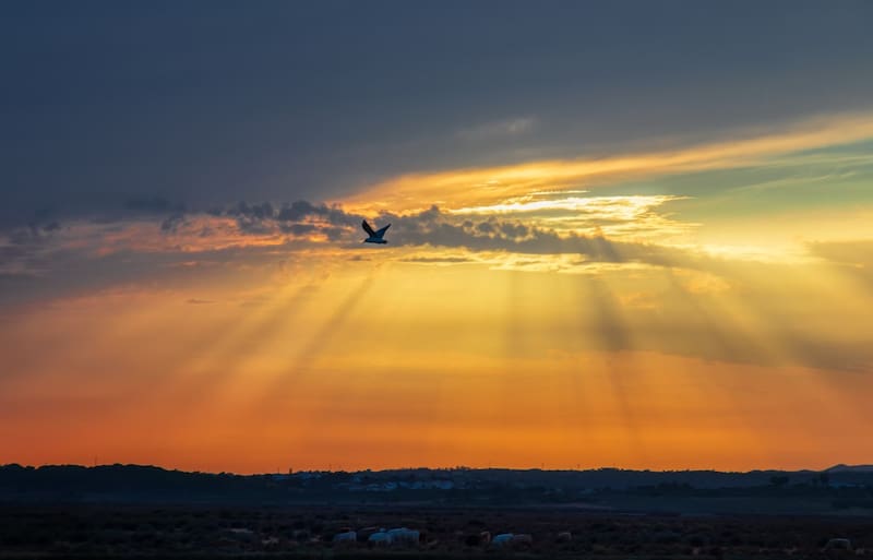 ¿Cómo está el clima en México hoy? (foto: Pxhere).