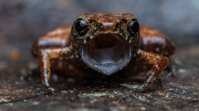 Instagram @radio_13c