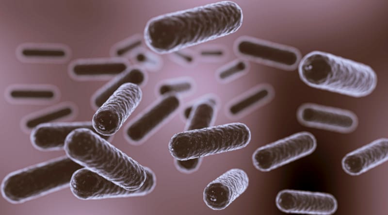 Descubrimiento científico: hallan un tratamiento para acabar con las enfermedades resistentes a los antibióticos. Imagen: archivo.