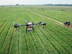 La venta de campos no despega a pesar de la suba de los commodities: por qué pasa