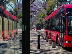 ¿Usas el Metrobús? Revisa el estado de las estaciones y evita retrasos