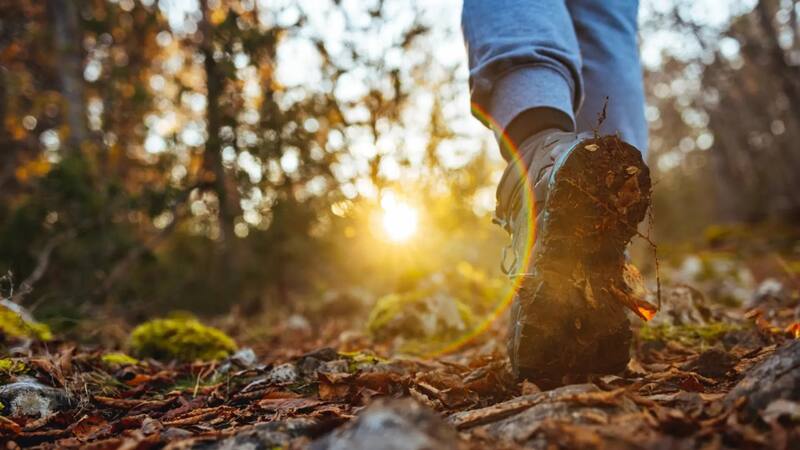 <div class="migrated-promo-image__description"><div class="migrated-promo-image__source">Fuente: vecteezy</div></div>