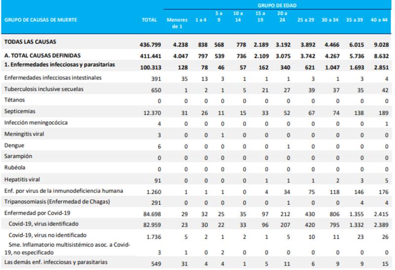 El Covid-19 fue la principal causa de muerte en la Argentina. (Fuente: Informe de Estadísticas Vitales del Ministerio de Salud).