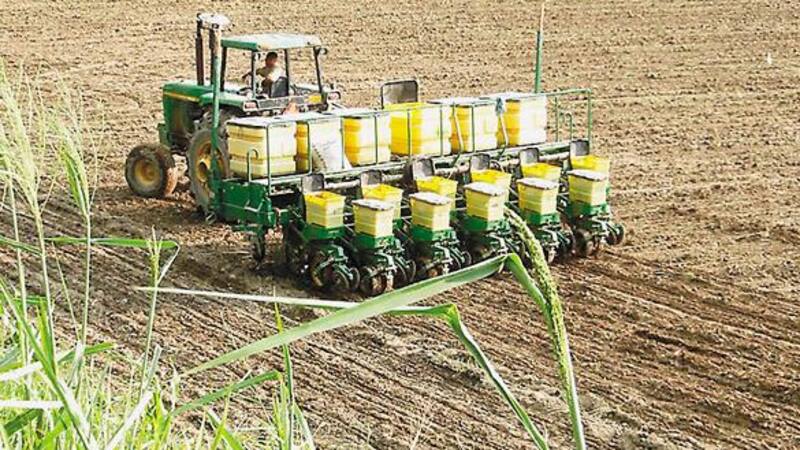 Dudas sobre si llegará a las 8,7 millones de hectáreas proyectadas