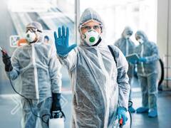 Alerta por una nueva plaga en el país: existe un riesgo importante de contraer una peligrosa enfermedad