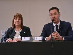 Polémica frase de Luis Petri: "Hay que terminar con los tours sanitarios de extranjeros"