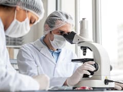 Los números detrás del debate: ¿cuánto se invierte realmente en investigación y desarrollo en Argentina?