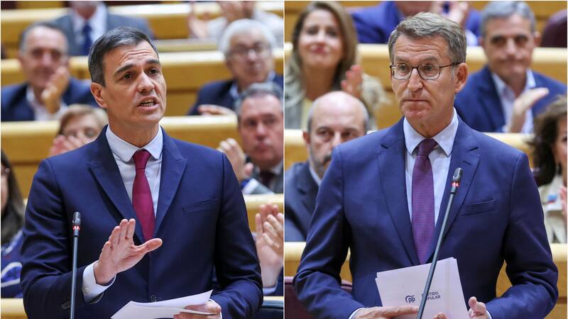 El duro enfrentamiento de Sánchez y Feijóo en el Senado. (Fotos: EFE).