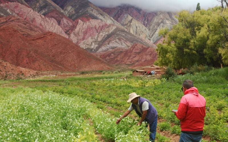 En el caso del corazón del Hornocal, se puede disfrutar de una experiencia rural guiada en la finca de Doña Guadalupe.