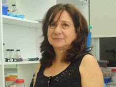 "Nada de lo que comemos es natural", investigadora del Conicet comparó a quienes están contra los transgénicos con los antivacuna