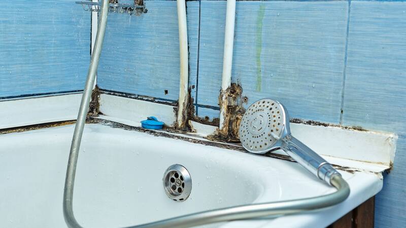 <div class="migrated-promo-image__description"><div class="migrated-promo-image__source">Fuente: Shutterstock</div></div>