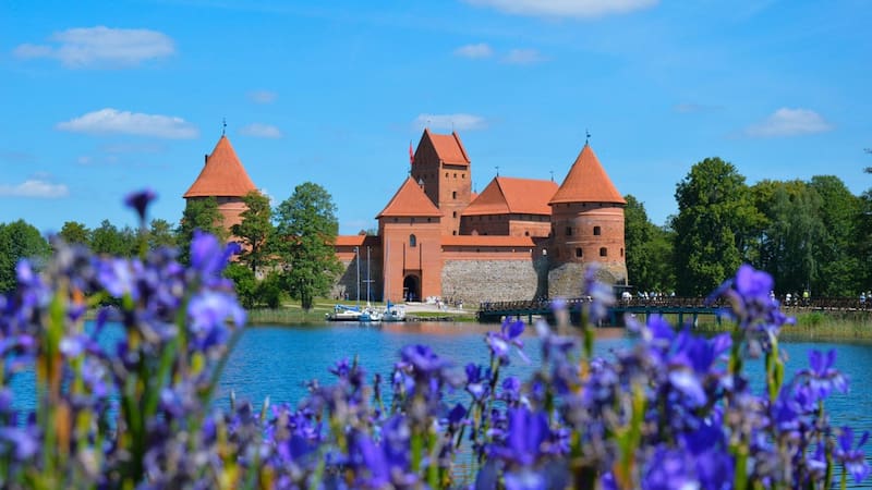 <div class="migrated-promo-image__description"><div class="migrated-promo-image__source">Fuente: Pixabay</div></div>