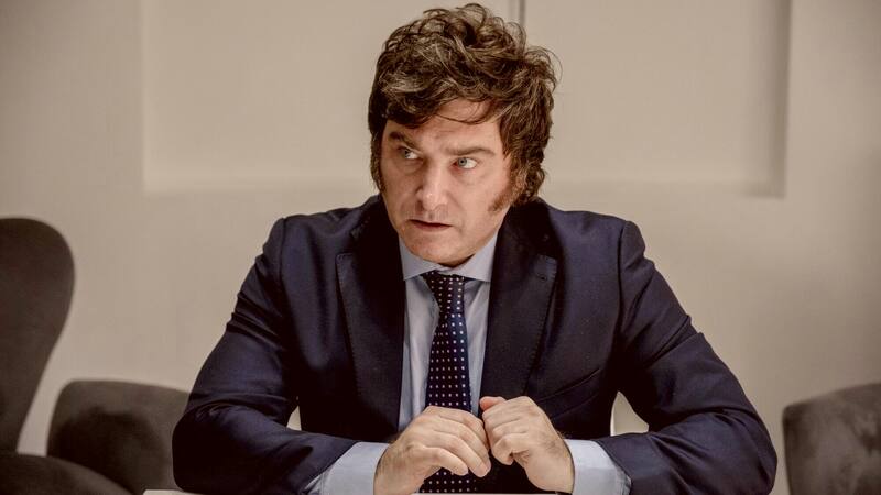 El precandidato a presidente Javier Milei. (Reuters)