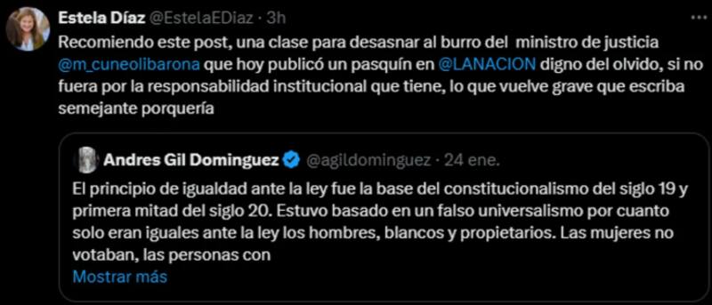 Estela Díaz en X (Twitter)