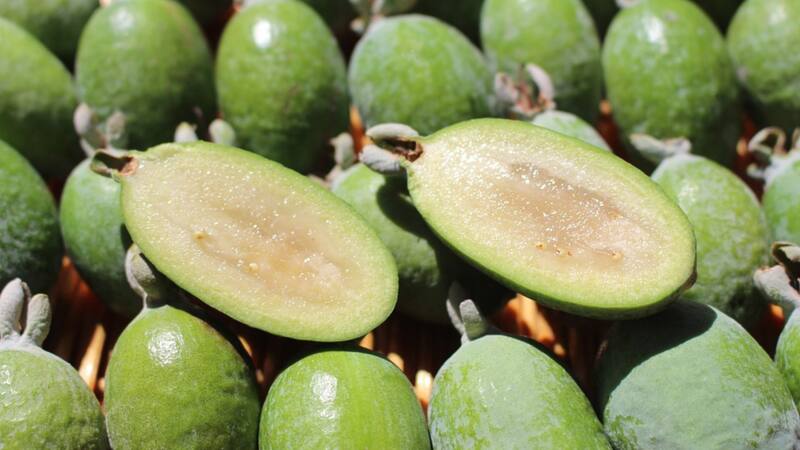 <div class="migrated-promo-image__description"><div class="migrated-promo-image__source">Fuente: Pixabay</div></div>