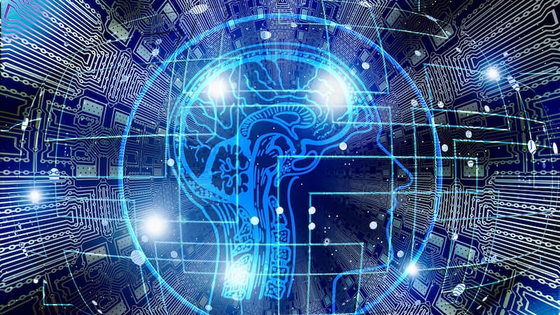 La investigación se basó en estudios que se hicieron en ratones y humanos.