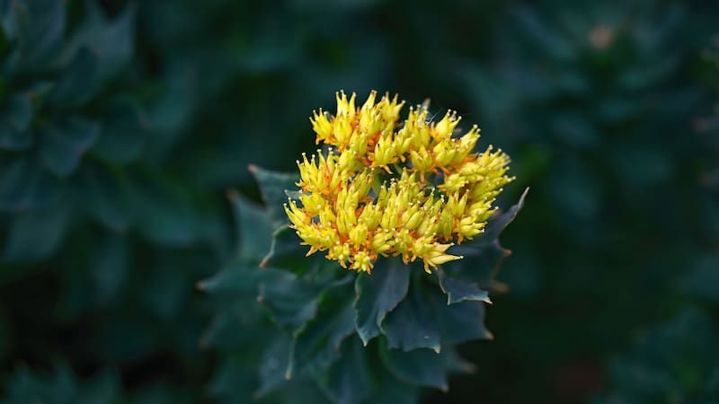 <div class="migrated-promo-image__description"><div class="migrated-promo-image__source">Fuente: Shutterstock</div></div>