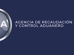 Se despertó un gigante adormecido (a propósito): la DGI salió a combatir la evasión impositiva