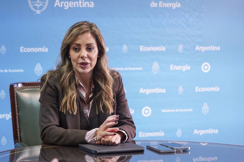 Flavia Royón confirmó que la situación se normalizará en "dos o tres días".