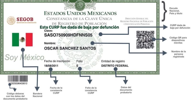 Descargar tu CURP: guía paso a paso. Fuente: Gobierno de México.