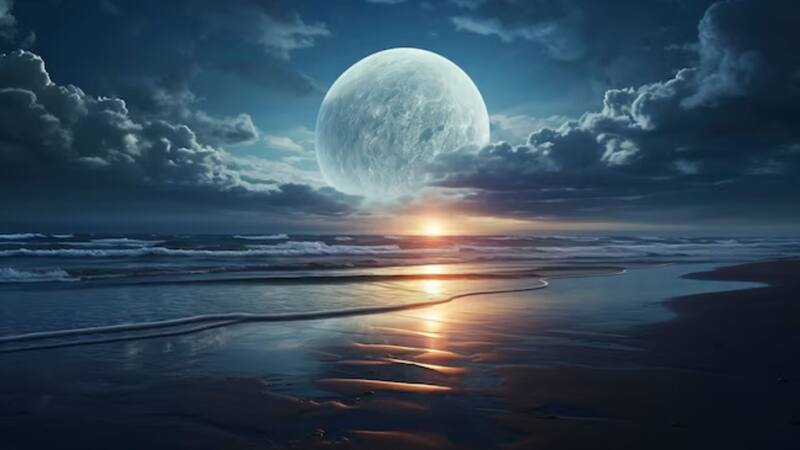 <div class="migrated-promo-image__description"><div class="migrated-promo-image__source">Fuente: Freepik</div></div>