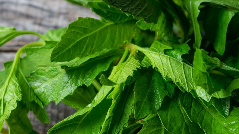 <div class="migrated-promo-image__description"><div class="migrated-promo-image__source">Fuente: Shutterstock</div></div>