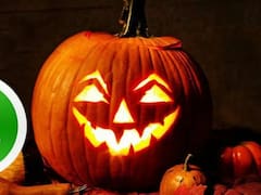 WhatsApp modo Halloween: cómo activarlo fácil y en pocos pasos en tu celular