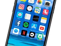 DogHero recibe u$s 7 millones de la mayor empresa de cuidado de mascotas del mundo