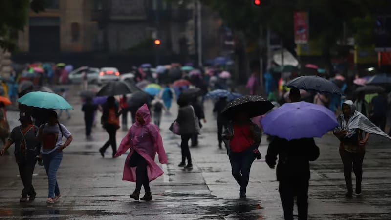 <div class="migrated-promo-image__description"><div class="migrated-promo-image__source">Fuente: Daniel Augusto/Cuartoscuro</div></div>