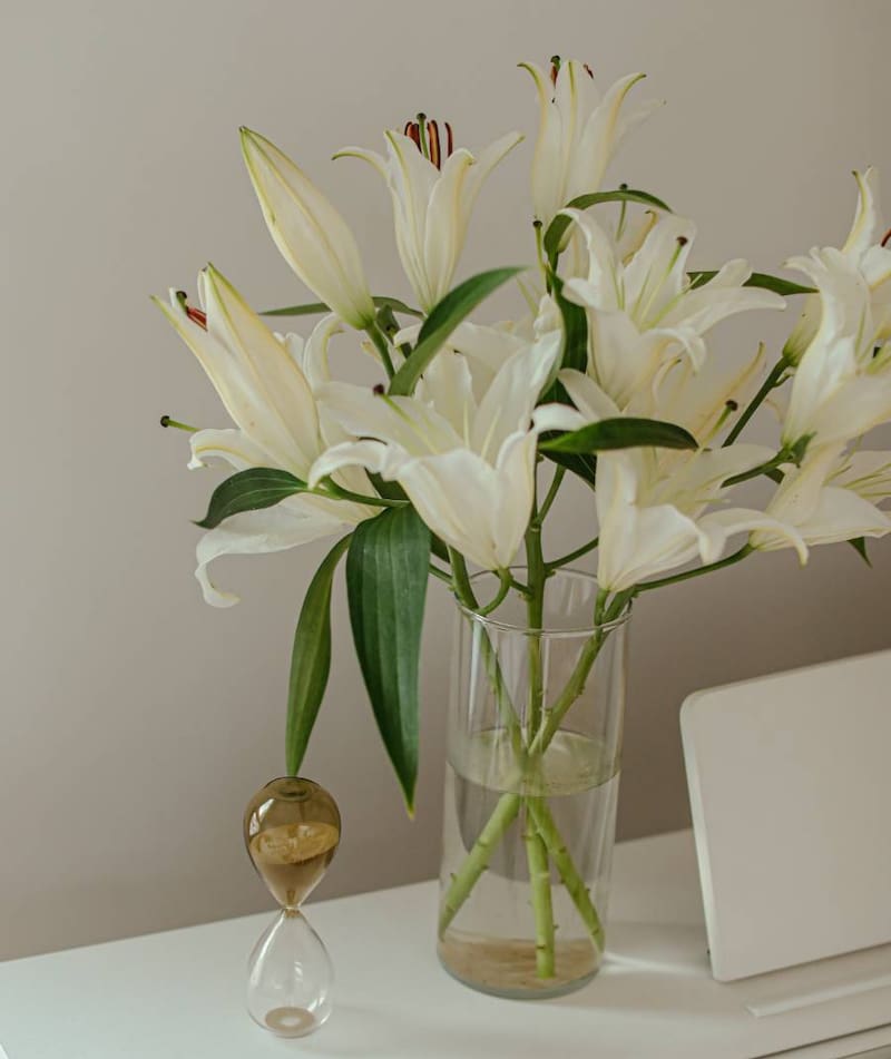 Significado de las flores blancas y cuando darlas. Fuente: Pixabay.