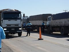 ARBA detectó infracciones en 23% de los camiones que transportan mercadería de supermercados