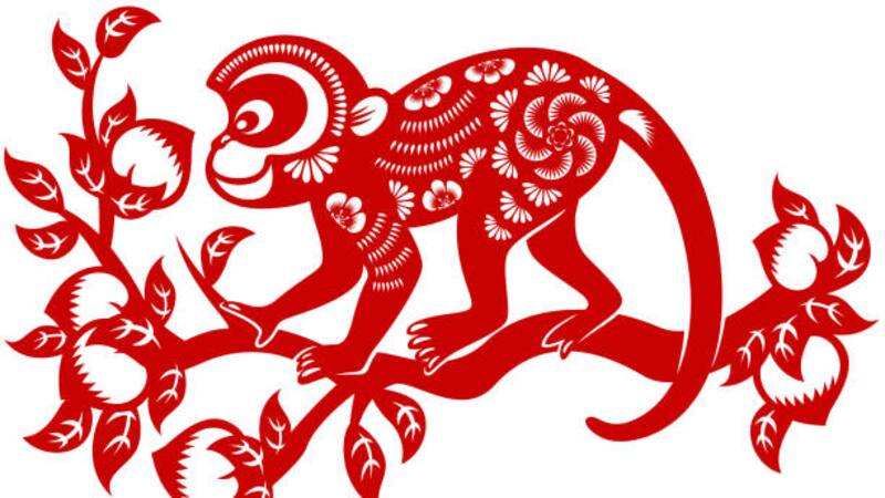 Descubrí qué dice la astrología oriental sobre el 2024 para las personas del Mono.